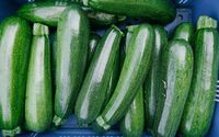 Courgette