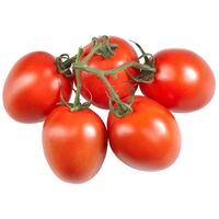 Tomaten