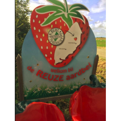 Foto 1 van De Reuze Aardbei
