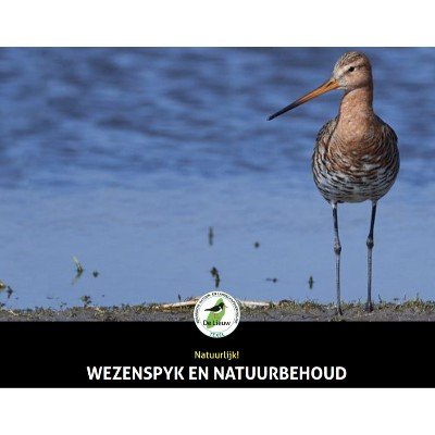 Foto 5 van Kaasboerderij Wezenspyk