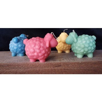 Foto 5 van De Bonte Belevenis