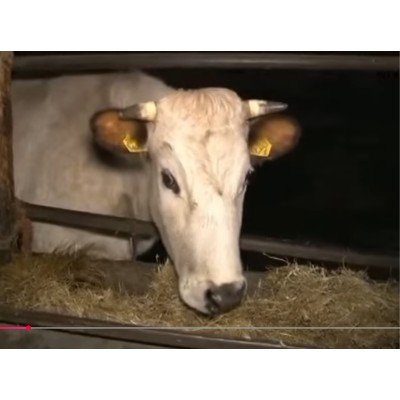 Foto 1 van Boerderij Dordrecht