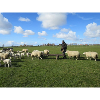 Foto 1 van Boer Jens