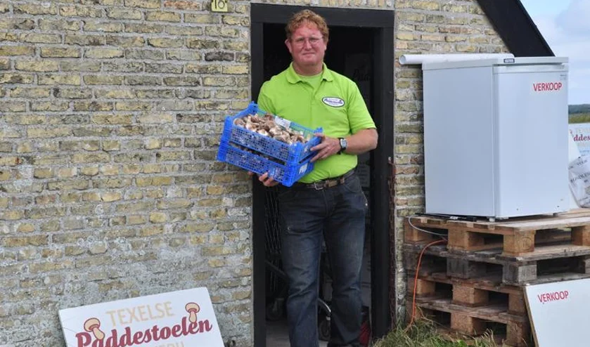 Texelse paddenstoelenkwekerij