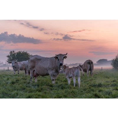 Foto 5 van VOF Dros - van Sambeek