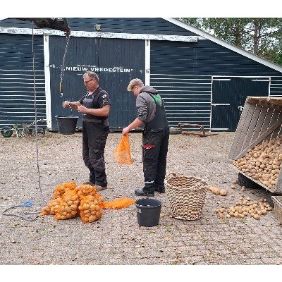 Foto 3 van Dienand Kikkert