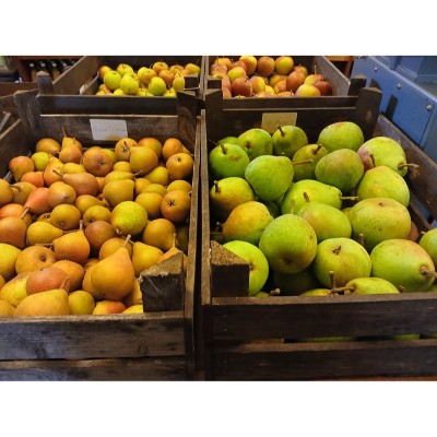 Foto 1 van De Waelde Tuin