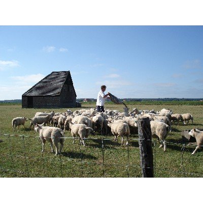 Foto 5 van Boerderijwinkel De Hoge Kamp - Texel